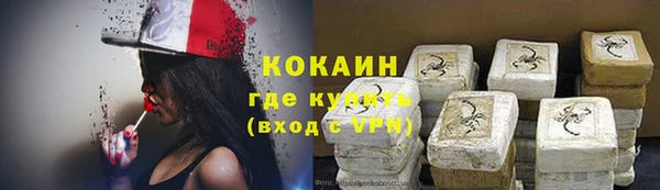 молекула духа Пестово