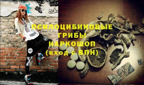 молекула духа Пестово