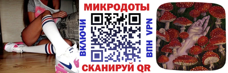 Псилоцибиновые грибы Cubensis  Купить  Пласт 